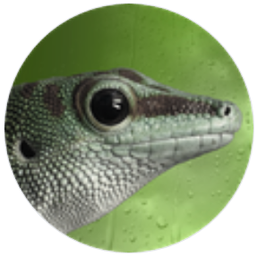 Gecko Linux