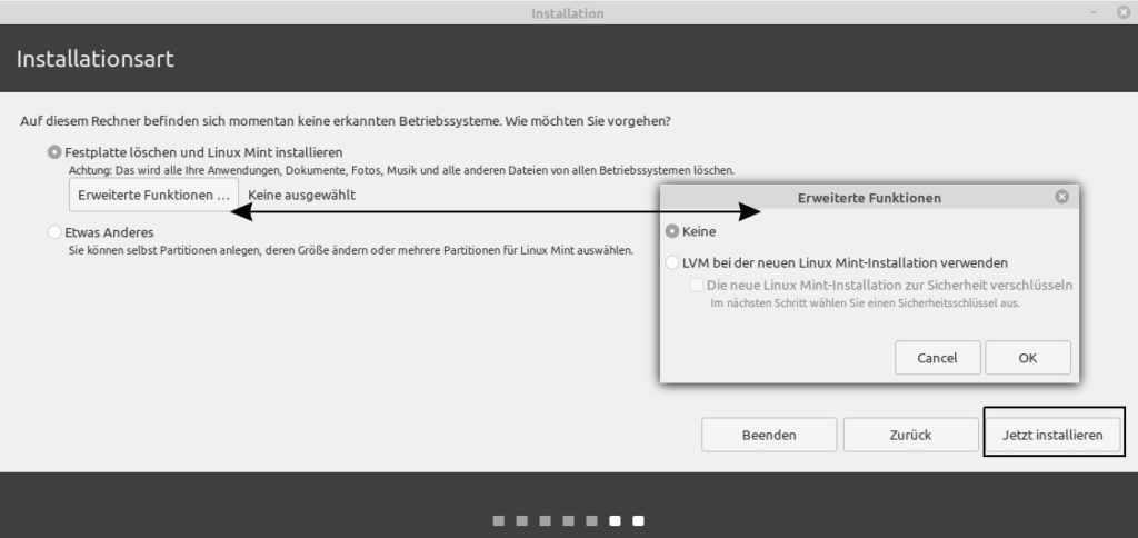 Linux Mint installieren - Installationsart wählen